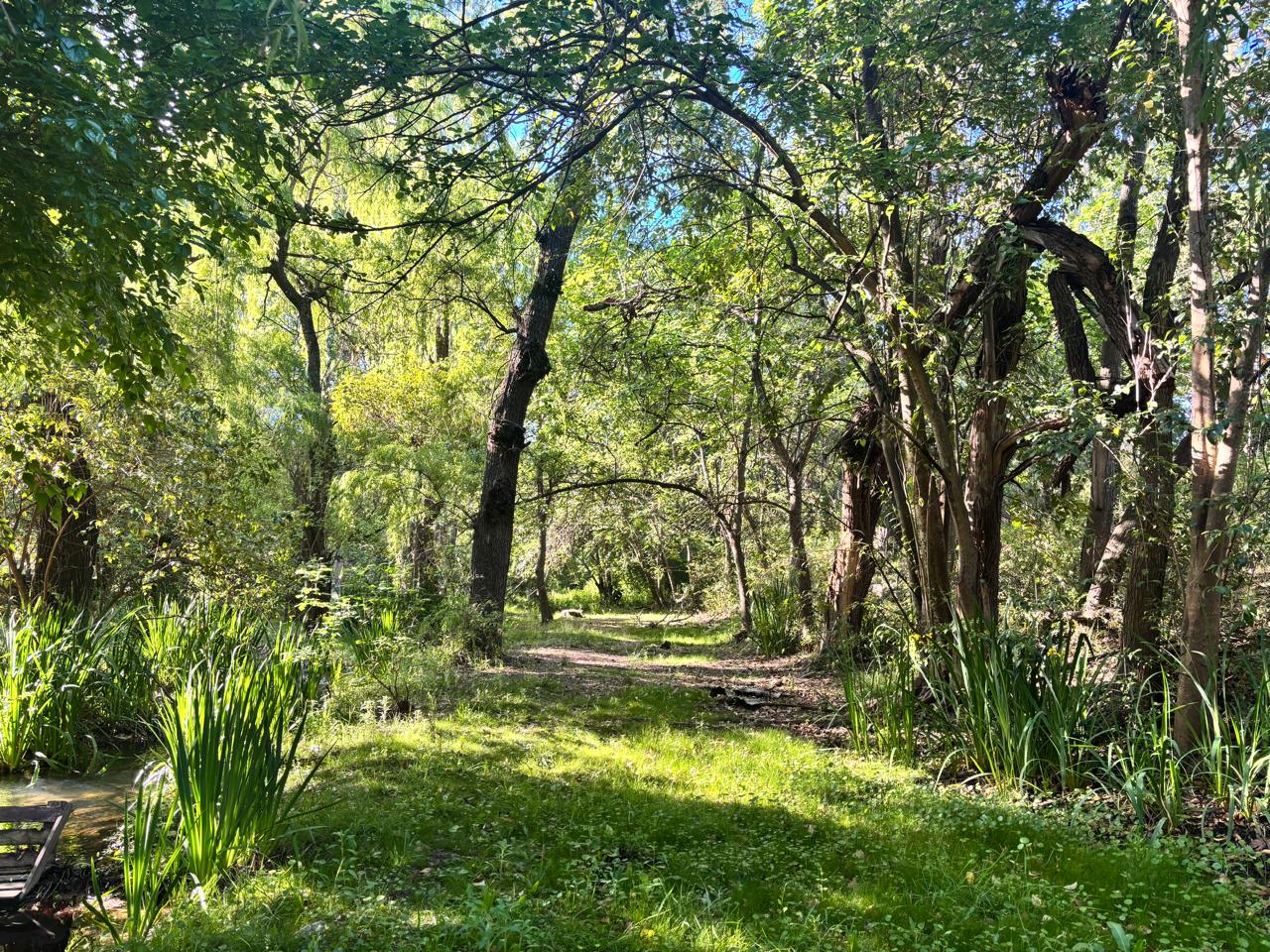 Los Quebrachos - Paisaje de portada